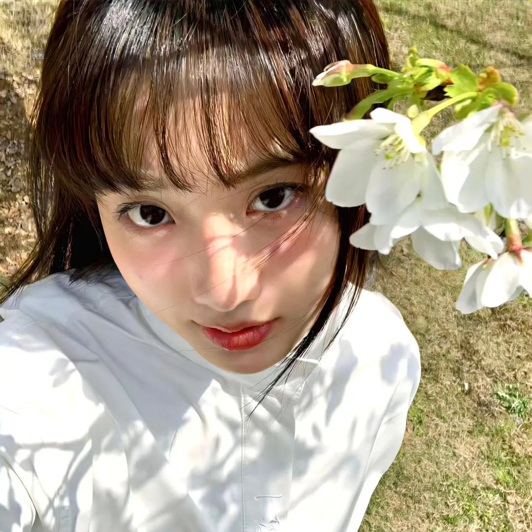 致我们单纯的小美好